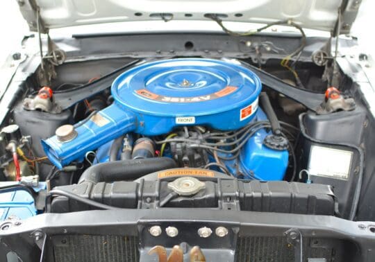mustang19
