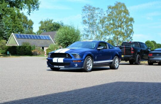 shelby3