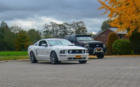 mustang1-2