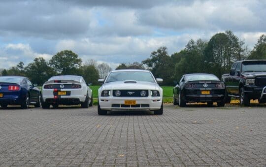 mustang2-2